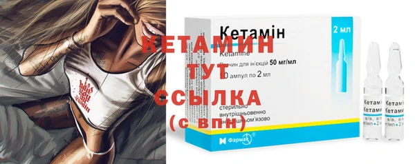сатива Верея