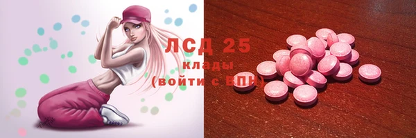 сатива Верея