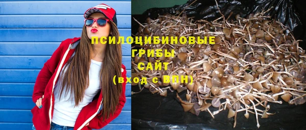 ALPHA PVP Саяногорск