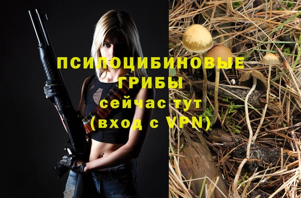 сатива Верея