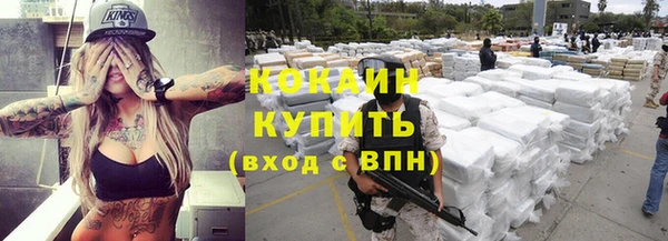 сатива Верея