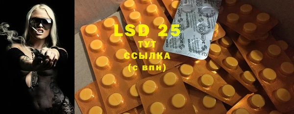 сатива Верея